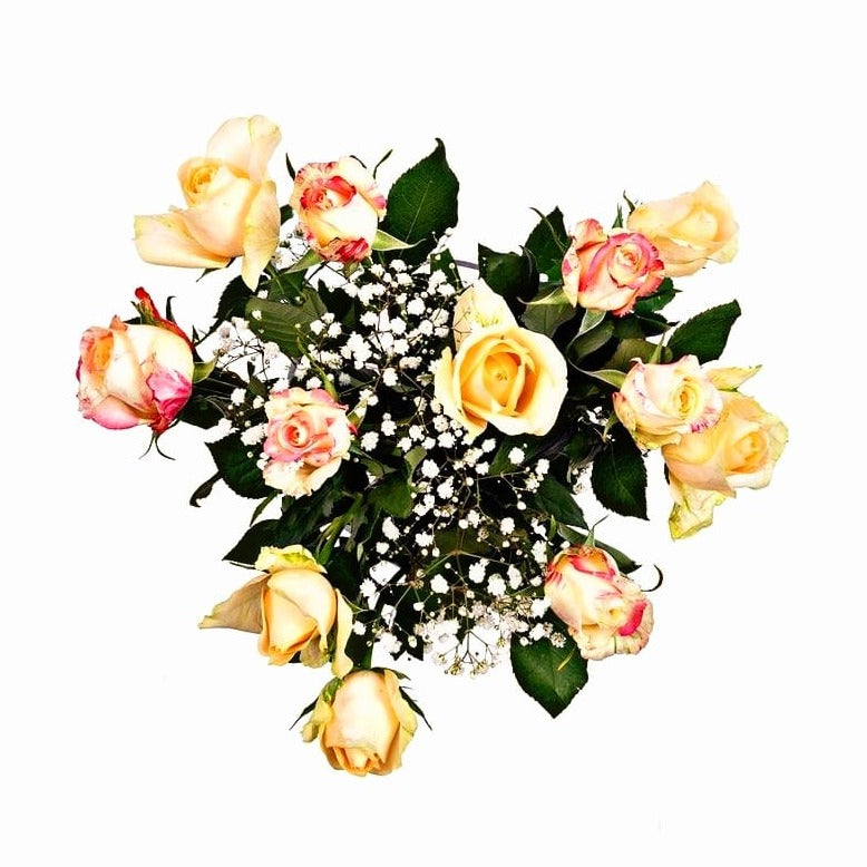Pink & White Roses