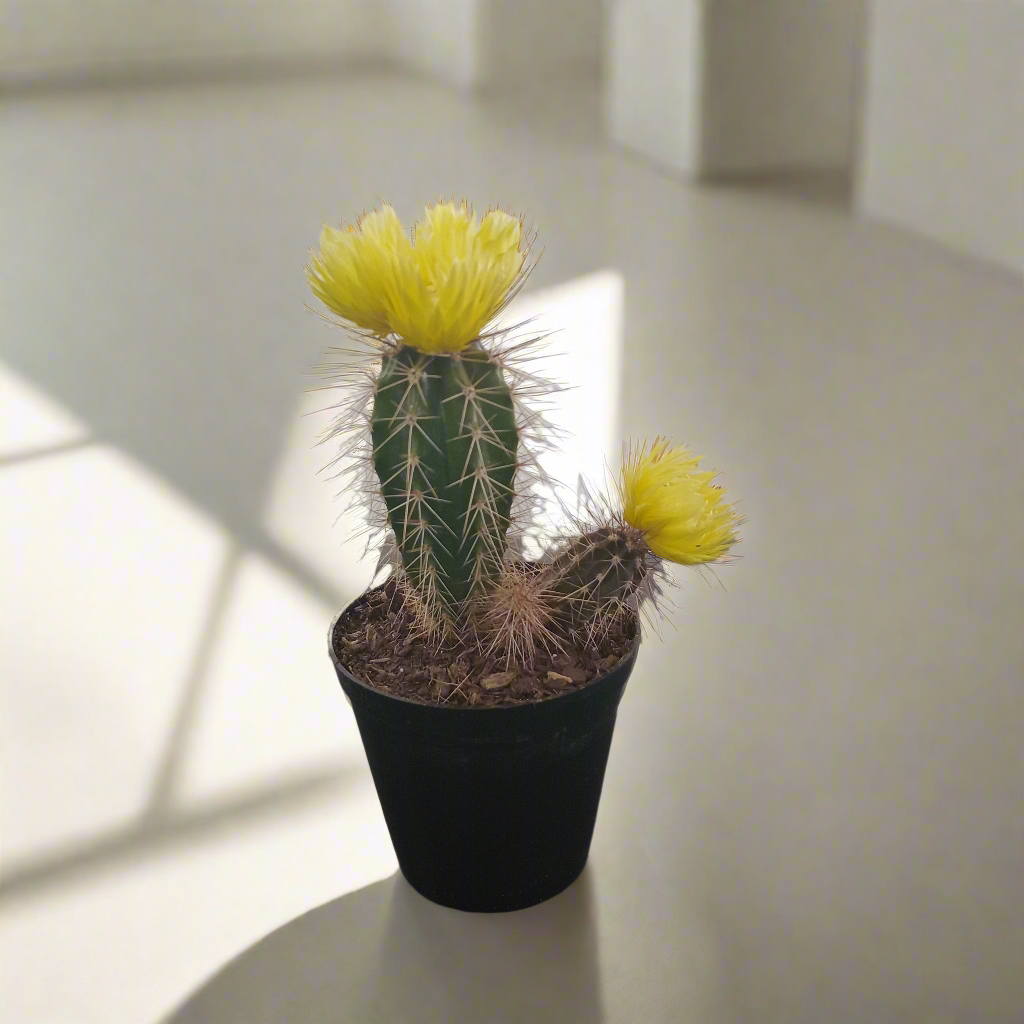 Decorative Potted Cactus Yellow - 10cm